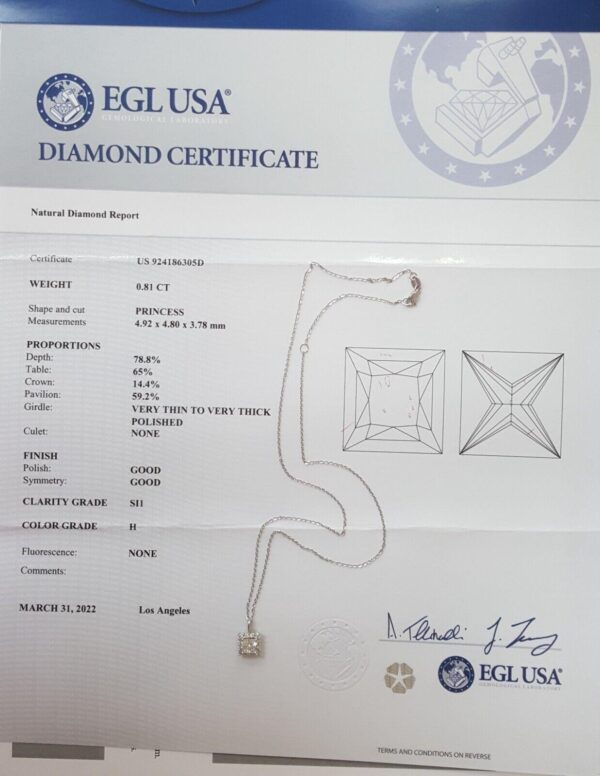 Princess Cut Diamond Halo Pendant Necklace 14K White Gold 1 ct Retail 5,500