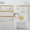 0.97 ct 18K White Gold Cushion Cut Diamond Double Halo Engagement Ring GIA E/VS1