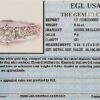 Diamond 3-Stone Engagement Annv. Ring 1.04 ct 14k White Gold EGL-USA Rtl 5,100