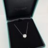 Tiffany & Co Round Diamond Solitaire Pendant 2.91 ct E/VVS2 Retail $155k