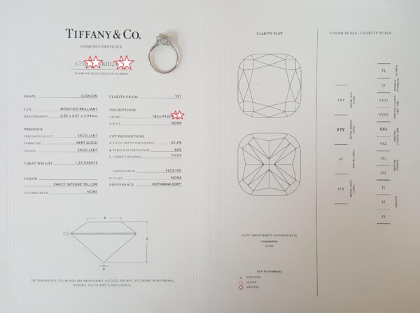 Tiffany & Co Soleste Fancy Intense Yellow Cushion Diamond Engagement Ring 1.53ct