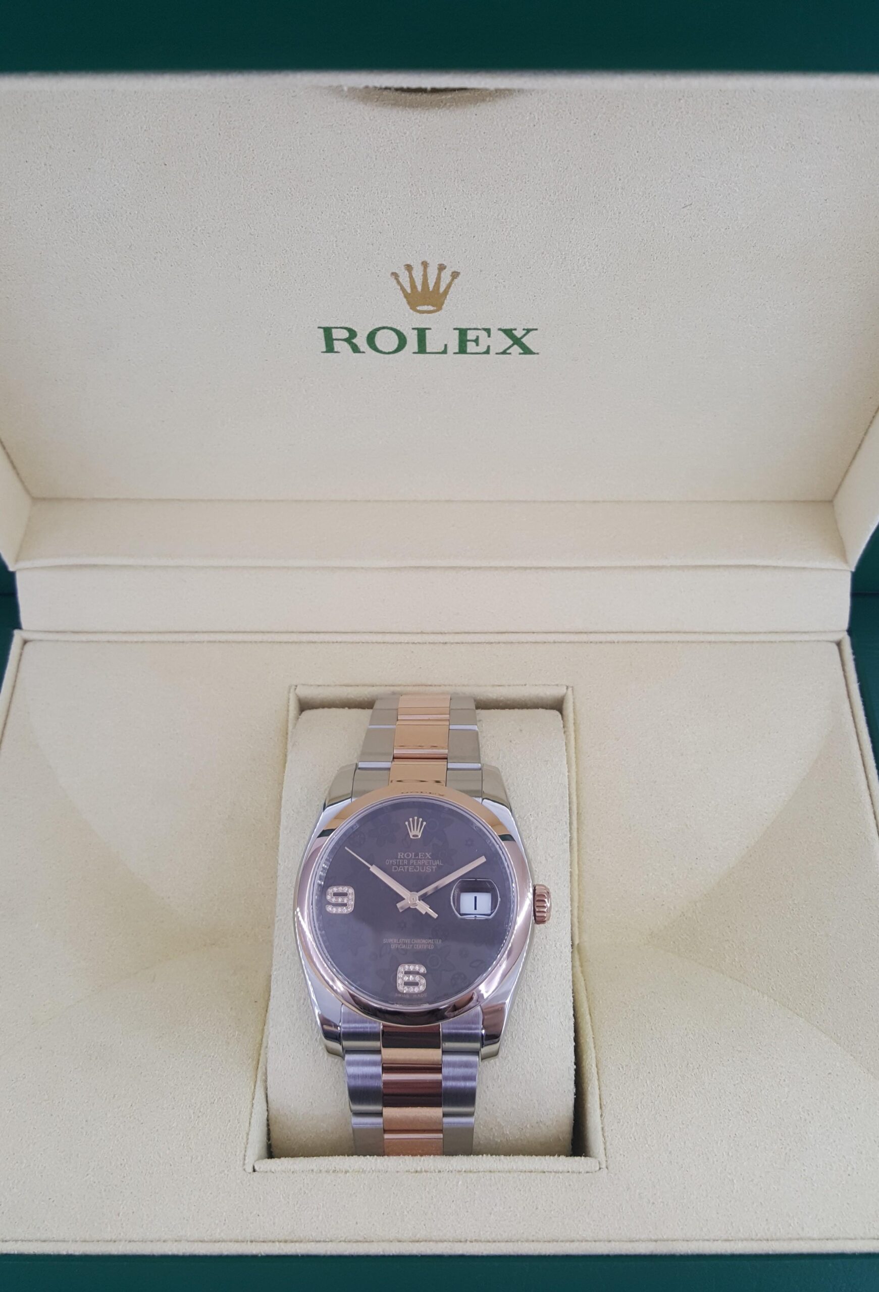 Rolex DateJust 116201 36 mm Factory Chocolate Floral Diamond Dial SS 18k Everose