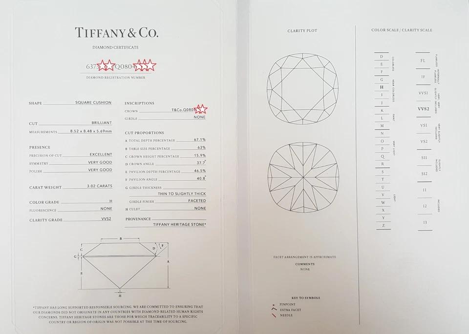 Tiffany & Co Novo Cushion Cut Diamond Engagement Ring 3.18 ct Retail $115,000