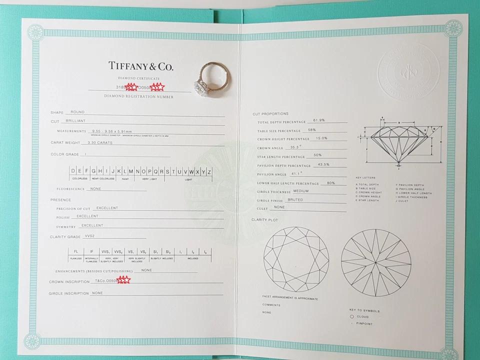 Tiffany & Co Soleste Round Diamond Engagement Ring 3.82 ct Platinum Rtl $135K
