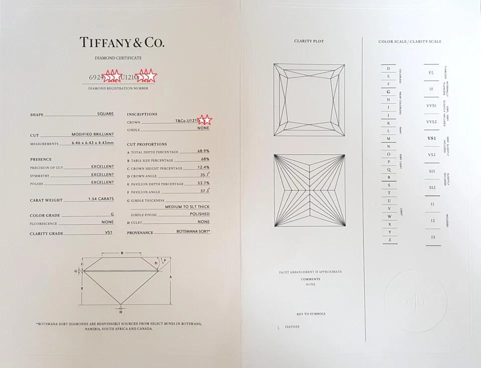 Tiffany & Co Novo Princess Cut Diamond Engagement Ring 1.7 ct Plat Retail $30K